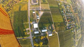 Erwins Orchards and Corn Maze with Basket 9-29-14